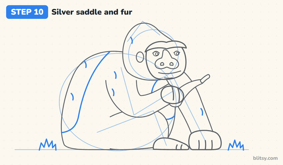 How to draw a gorilla step by step step 10 - mark the silver saddle, the fur and the grass
