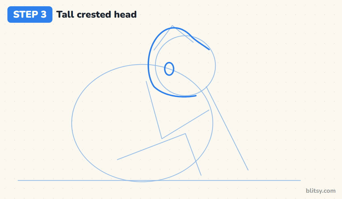 How to draw a gorilla step by step step 3 - outline the tall crested head