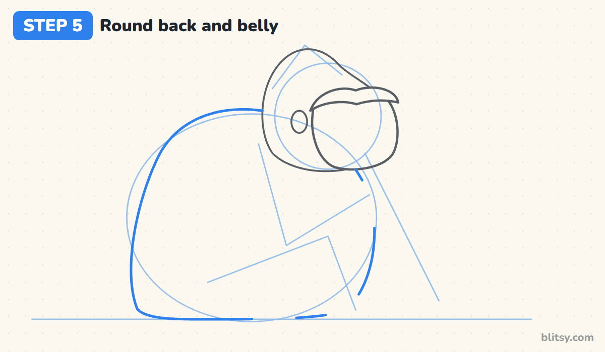How to draw a gorilla step by step step 5 - shape the round back and belly