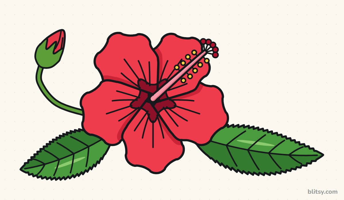 How to draw a hibiscus step by step - finished drawing