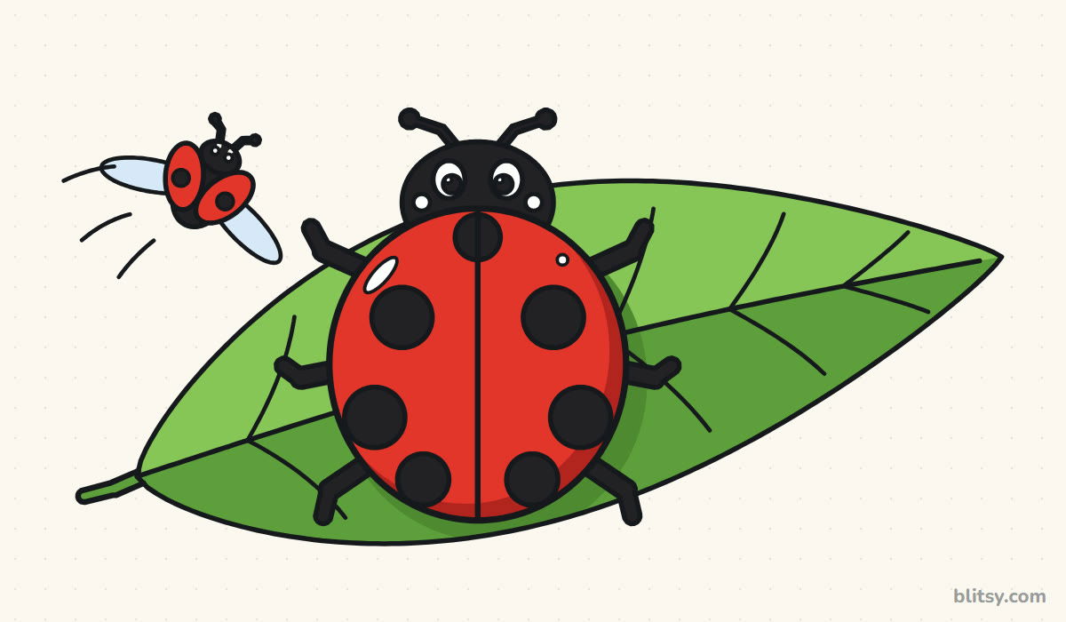 How to draw a ladybug step by step - finished drawing