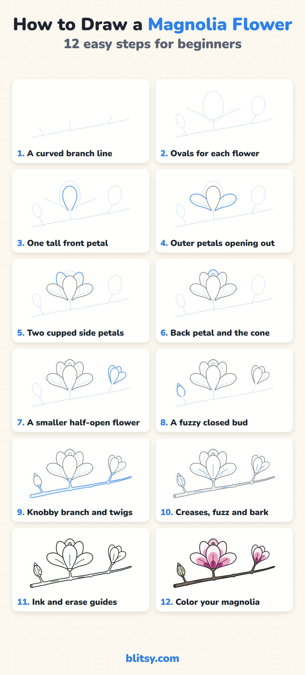 How to draw a magnolia flower step by step - all 12 steps on one page (Pinterest)