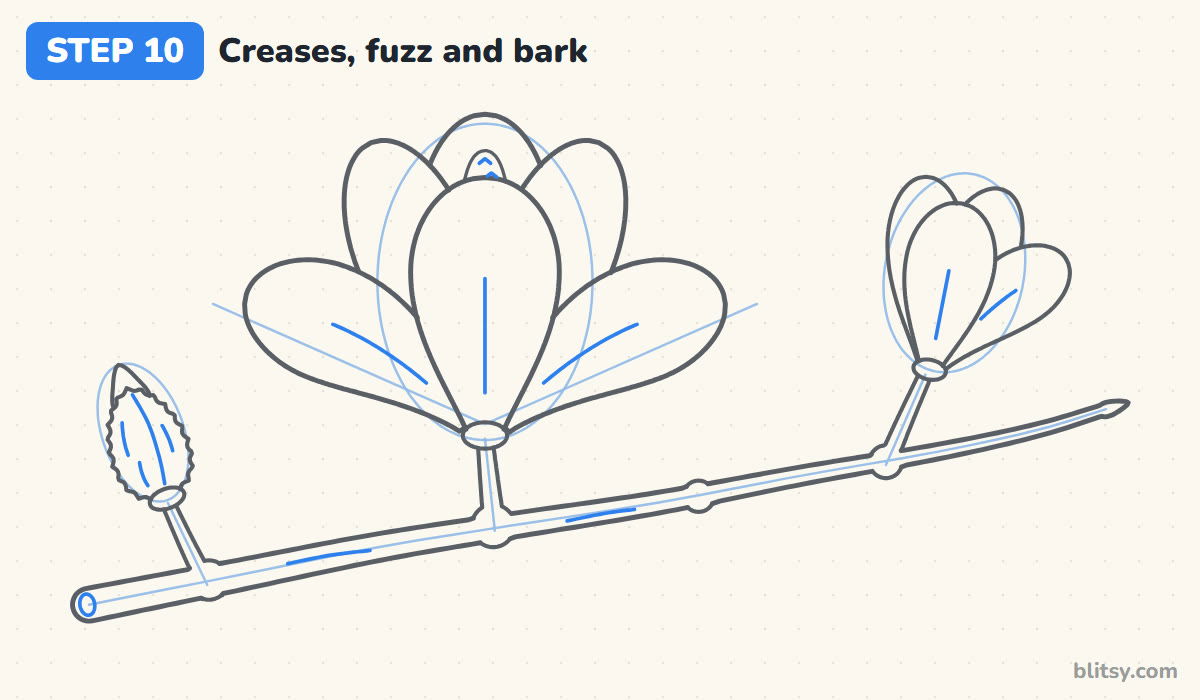 How to draw a magnolia flower step by step step 10 - add creases, fuzz and bark lines