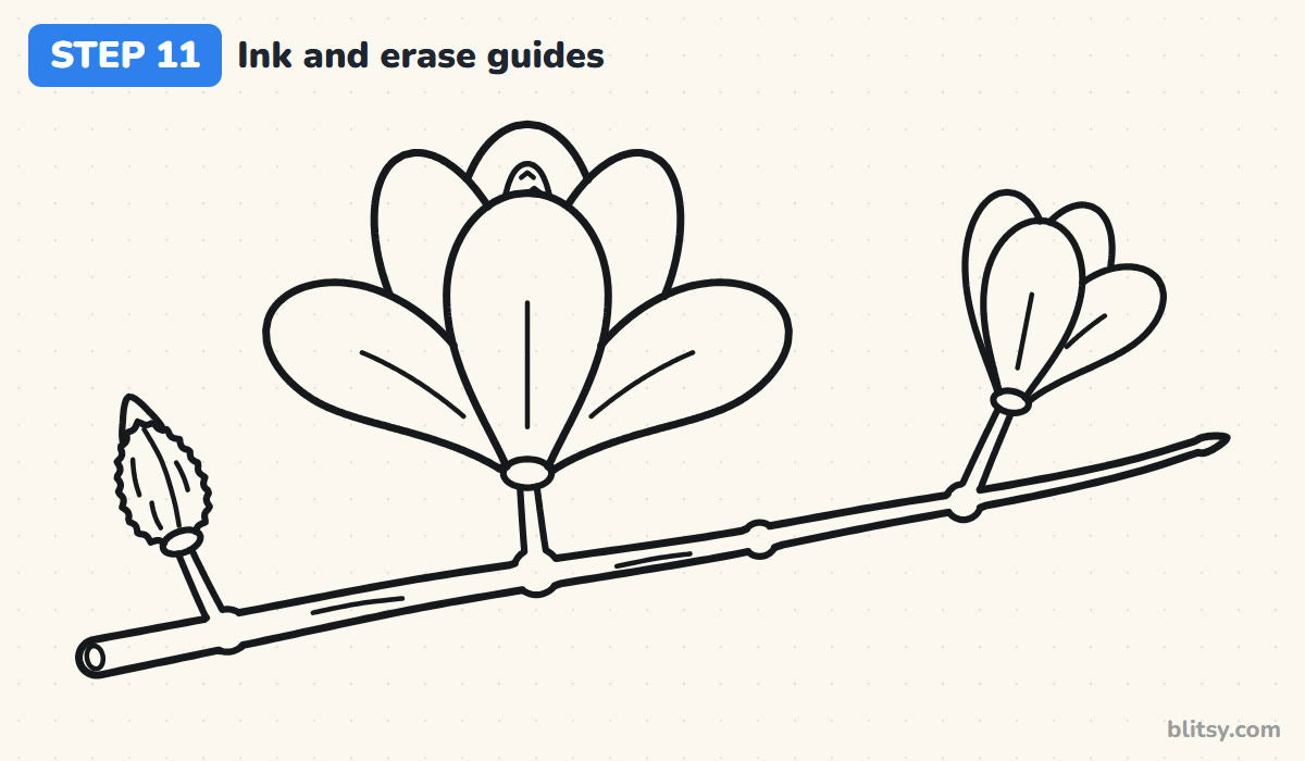 How to draw a magnolia flower step by step step 11 - ink your drawing and erase the guides