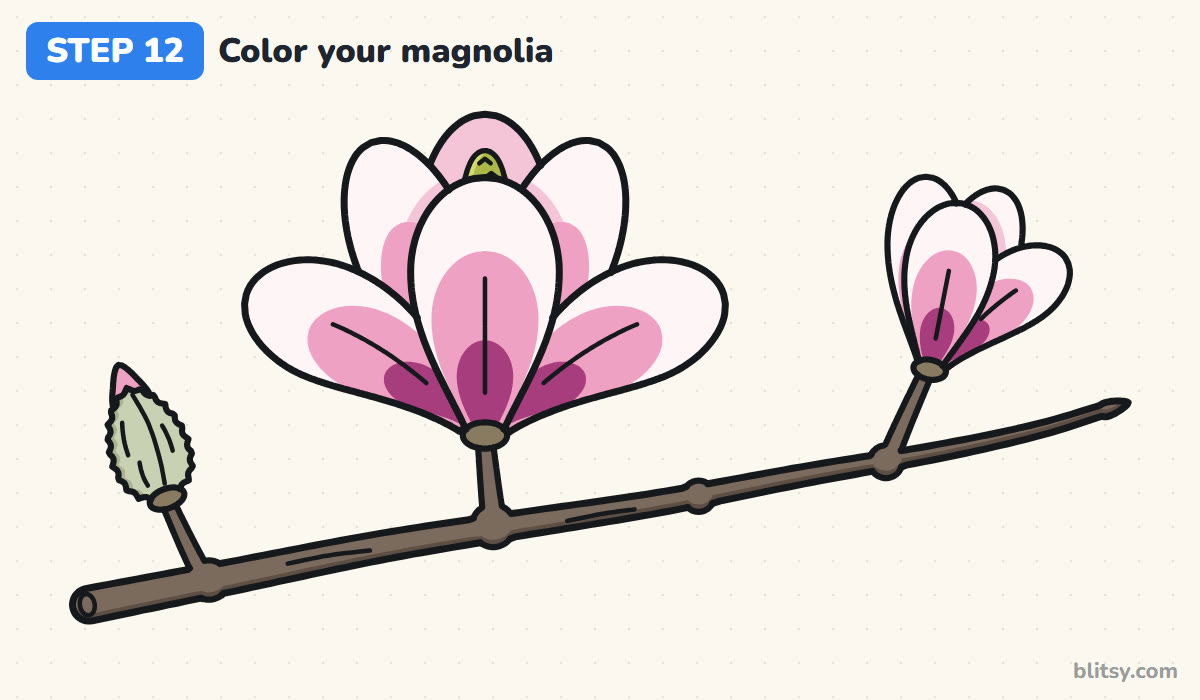 How to draw a magnolia flower step by step step 12 - color your magnolia