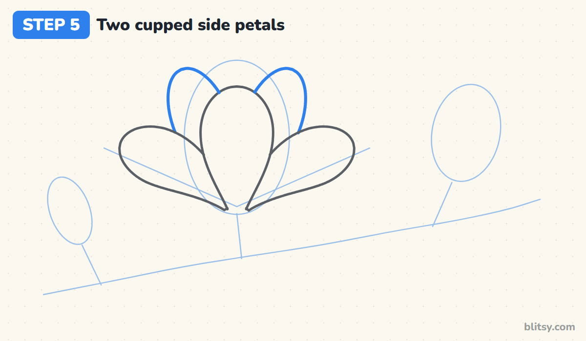 How to draw a magnolia flower step by step step 5 - draw two cupped side petals