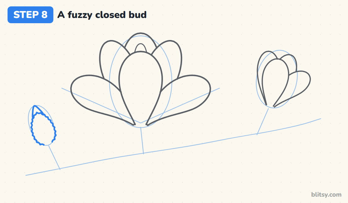 How to draw a magnolia flower step by step step 8 - draw a fuzzy closed bud