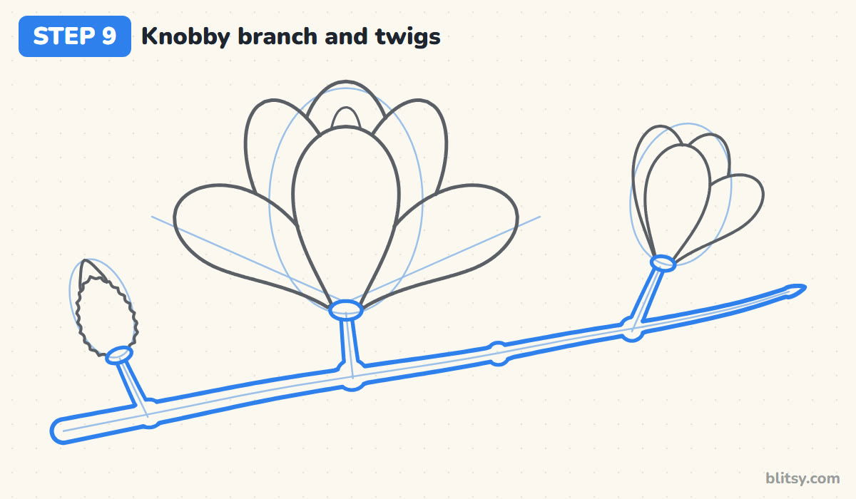 How to draw a magnolia flower step by step step 9 - turn the lines into a knobby branch