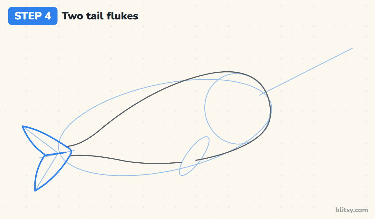How to draw a narwhal step by step step 4 - shape the two tail flukes