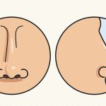 How to Draw a Nose Step by Step (Front and Side View)