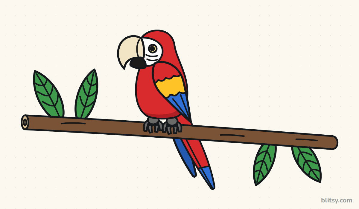 How to draw a parrot step by step - finished drawing