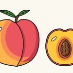 How to Draw a Peach Step by Step (Whole Fruit + Cut Half)