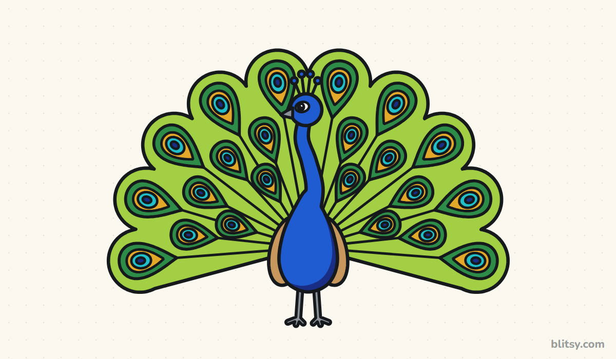 How to draw a peacock step by step - finished drawing