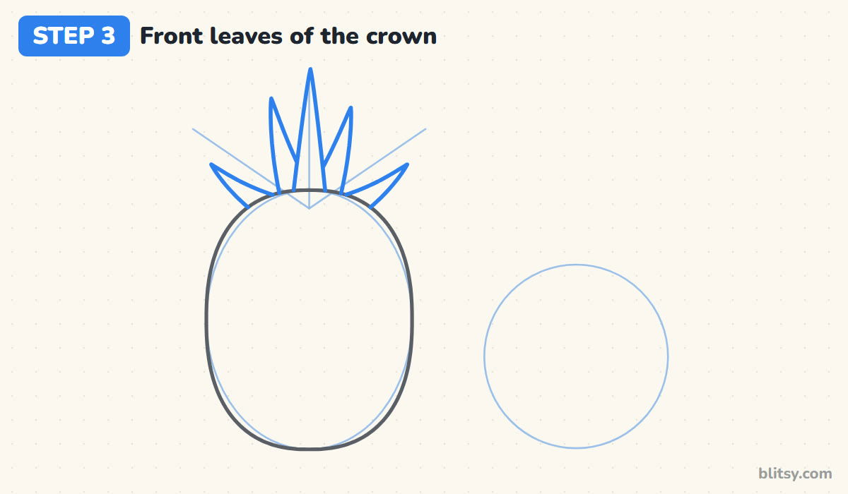 How to draw a pineapple step by step step 3 - add the front leaves of the crown
