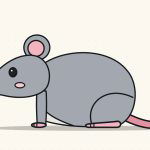 How to Draw a Rat Step by Step (Easy for Beginners)