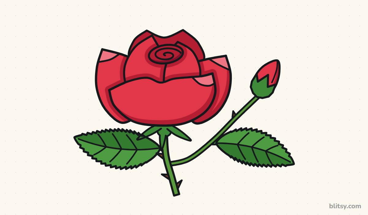 How to draw a rose step by step - finished drawing