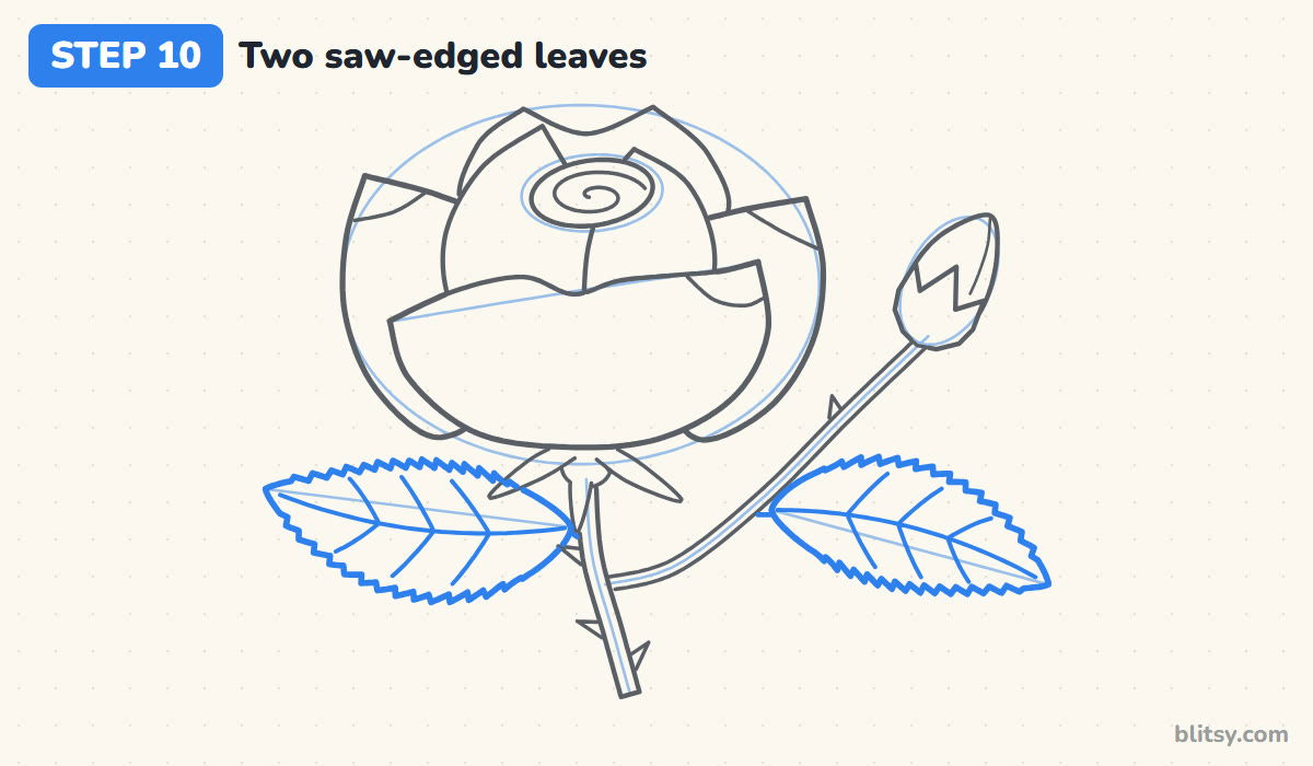How to draw a rose step by step step 10 - draw two saw-edged leaves