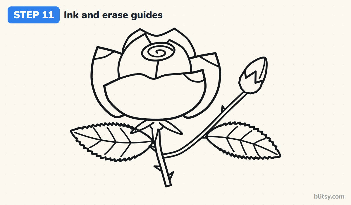 How to draw a rose step by step step 11 - ink the lines and erase the guides