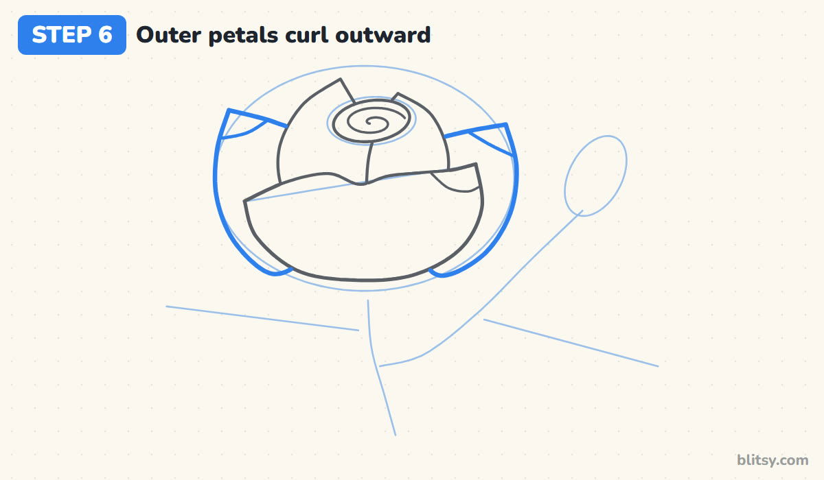 How to draw a rose step by step step 6 - curl the outer petals outward