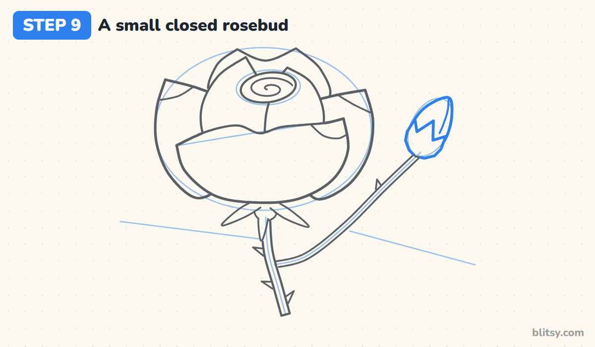 How to draw a rose step by step step 9 - draw a small closed rosebud