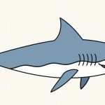 How to Draw a Shark Step by Step (Easy for Beginners)