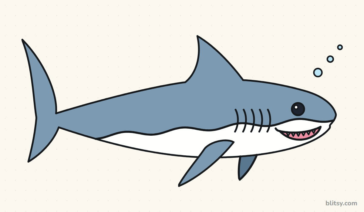 How to draw a shark step by step - finished drawing