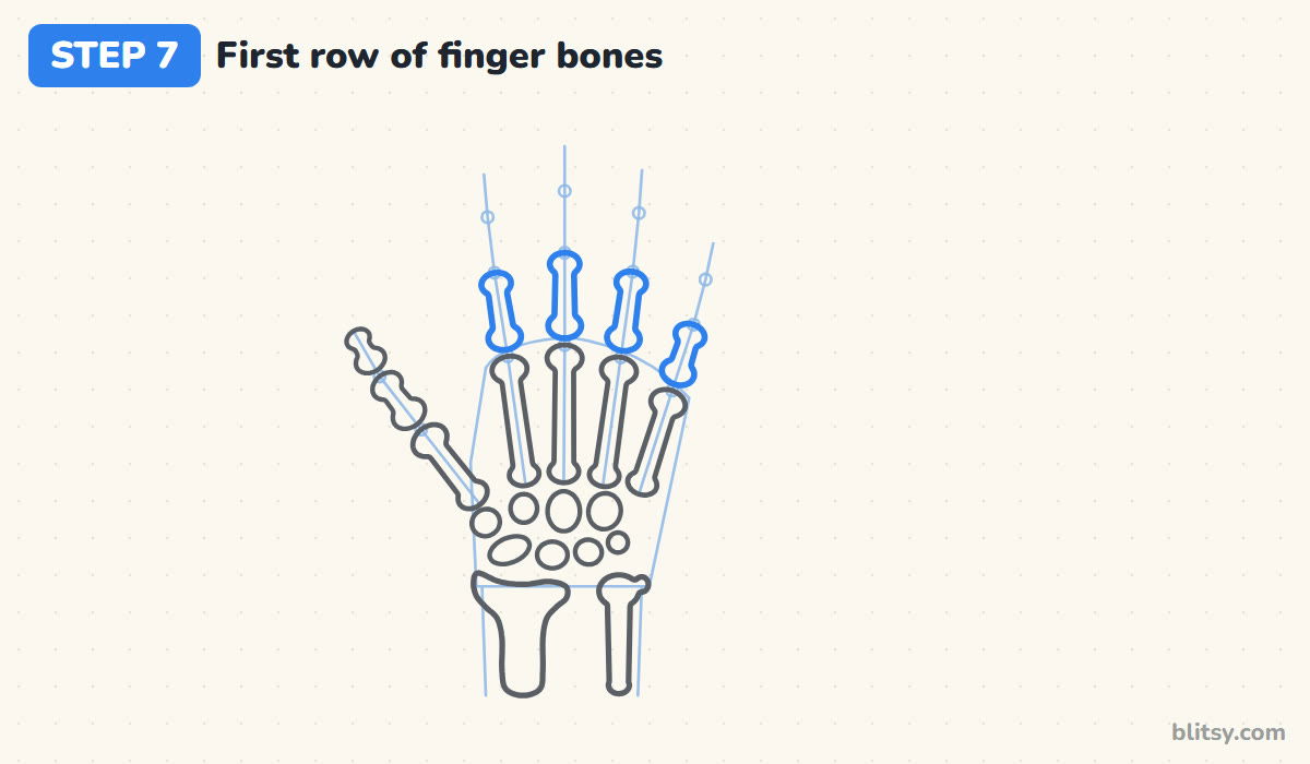 How to draw a skeleton hand step by step step 7 - draw the first row of finger bones