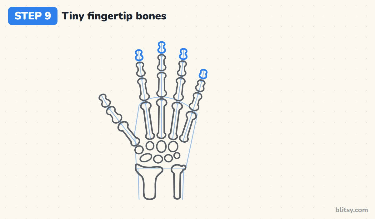 How to draw a skeleton hand step by step step 9 - finish with the tiny fingertip bones