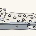 How to Draw a Snow Leopard Step by Step (Easy Guide)