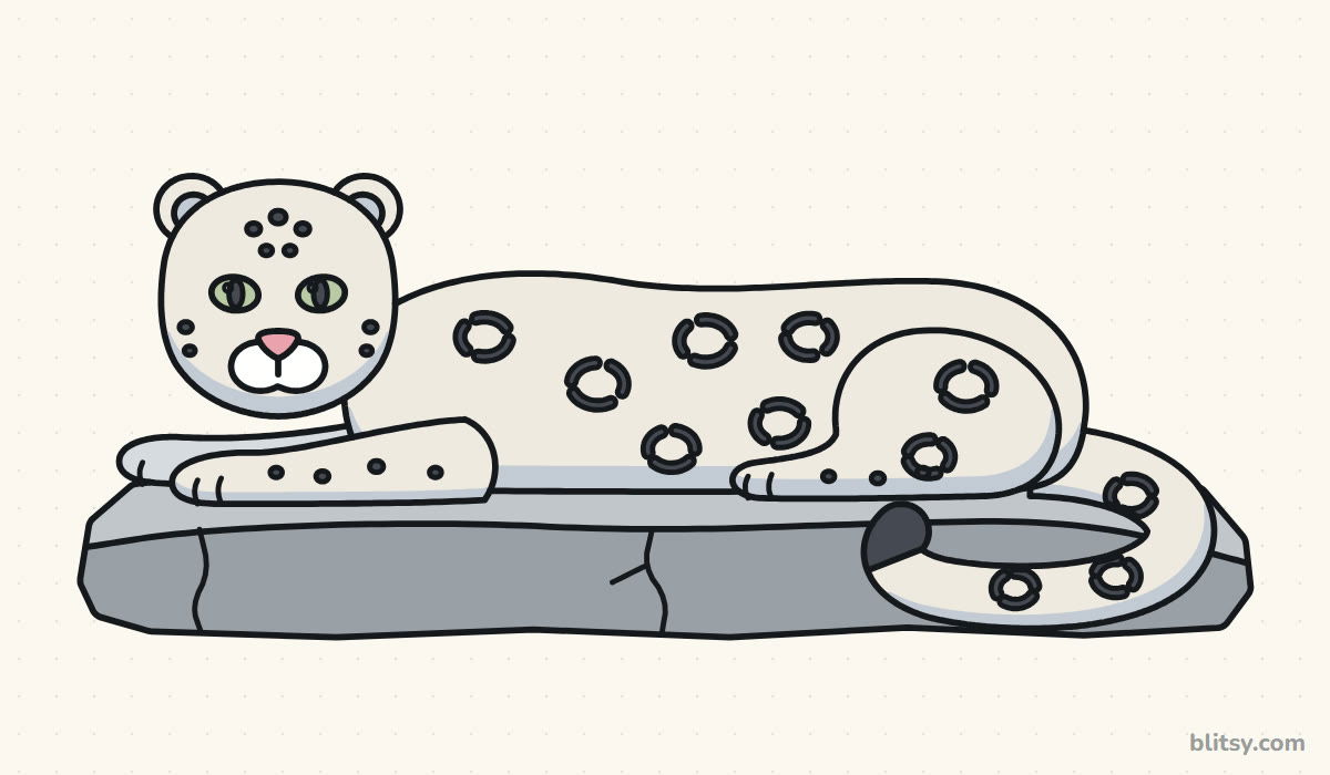 How to draw a snow leopard step by step - finished drawing