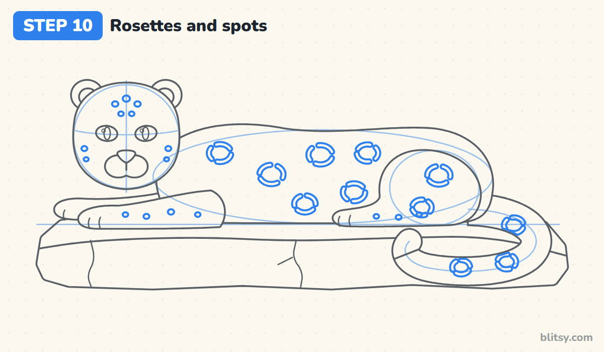 How to draw a snow leopard step by step step 10 - draw the rosettes and spots
