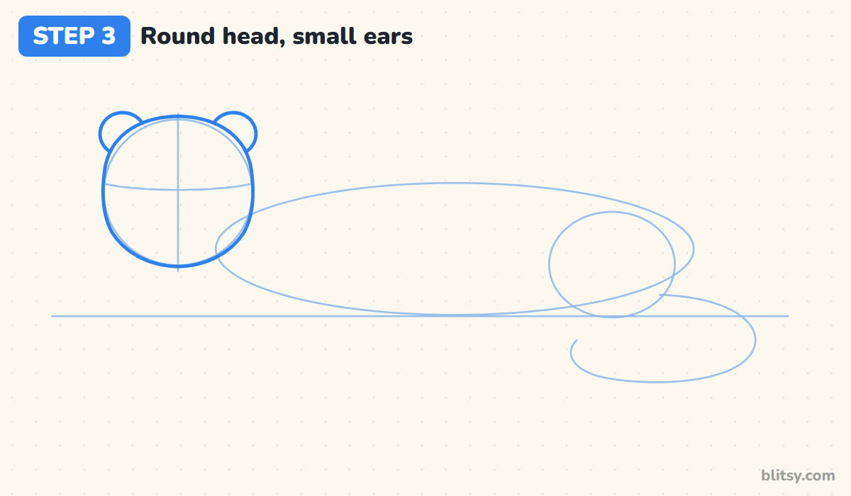 How to draw a snow leopard step by step step 3 - draw the round head and small ears