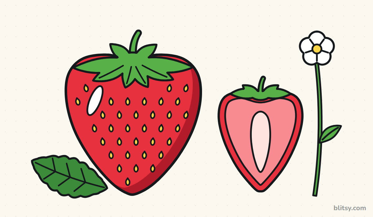 How to draw a strawberry step by step - finished drawing