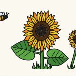How to Draw a Sunflower Step by Step (Big and Bright)