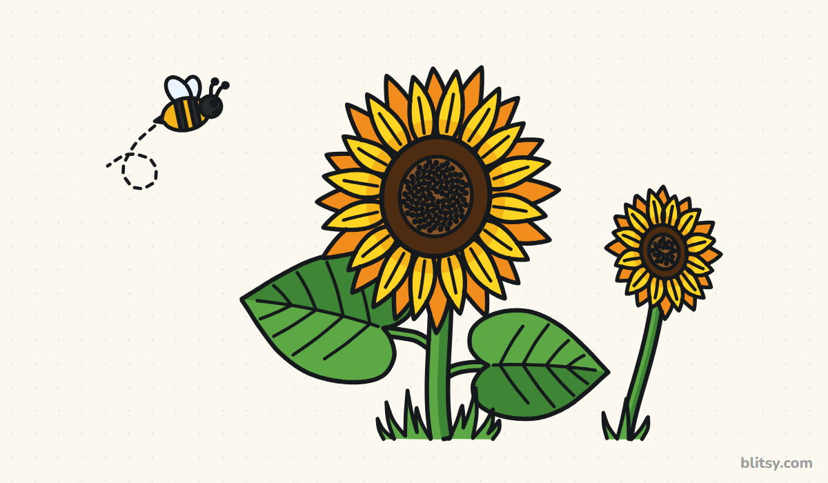 How to draw a sunflower step by step - finished drawing