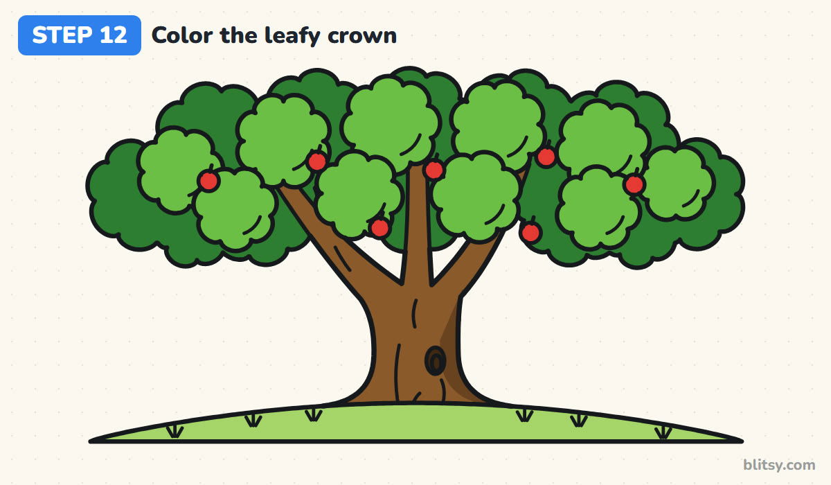 How to draw a tree step by step step 12 - color the leafy crown and apples