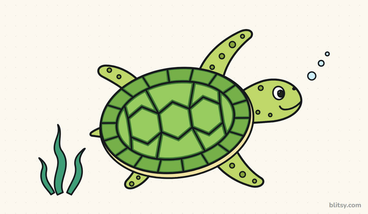 How to draw a turtle step by step - finished drawing