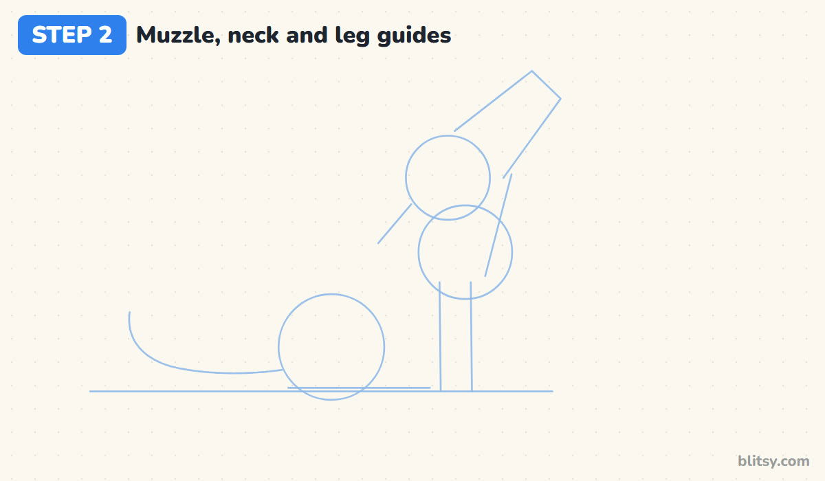 How to draw a wolf step by step step 2 - add the muzzle box and body guides
