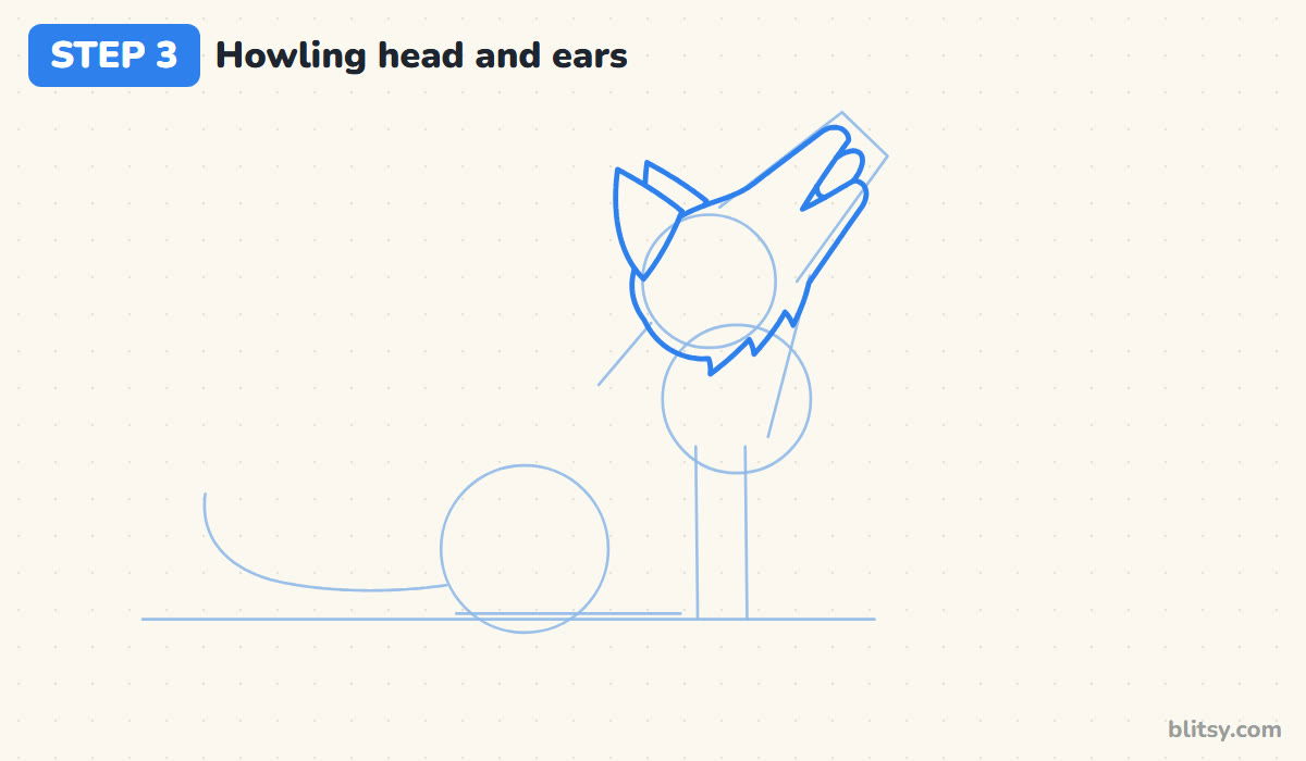 How to draw a wolf step by step step 3 - shape the howling head and ears