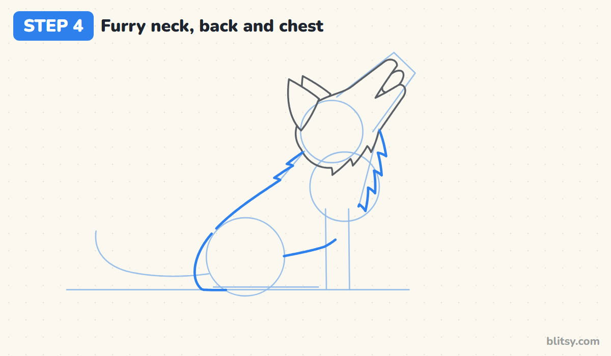 How to draw a wolf step by step step 4 - outline the furry neck and back