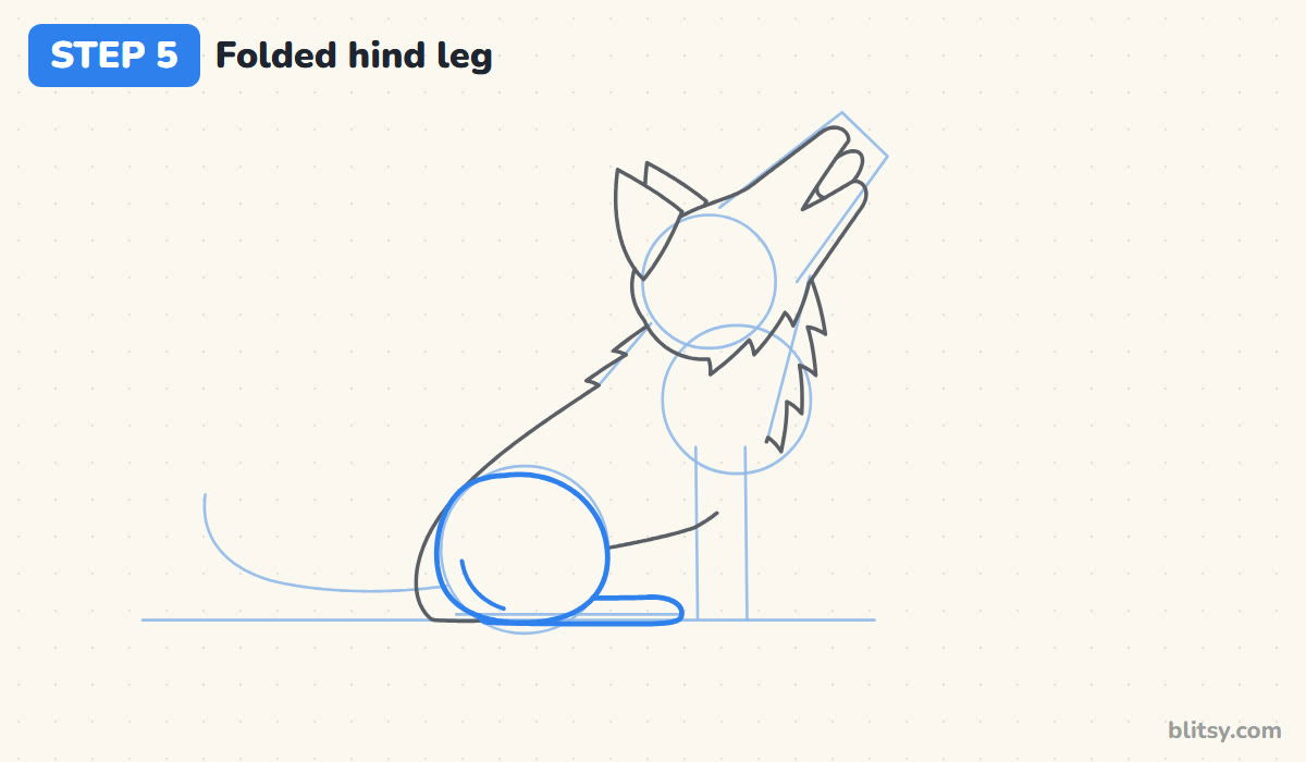 How to draw a wolf step by step step 5 - draw the folded hind leg