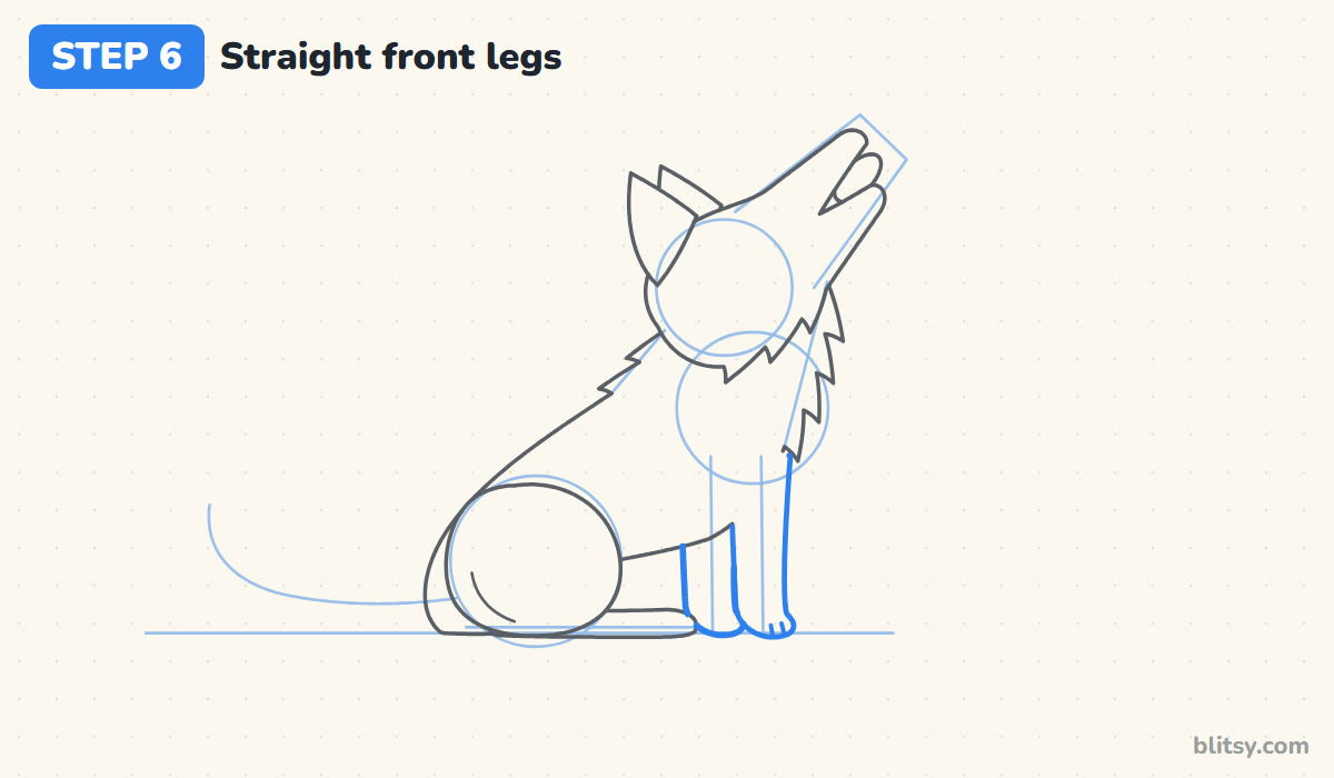 How to draw a wolf step by step step 6 - add the straight front legs