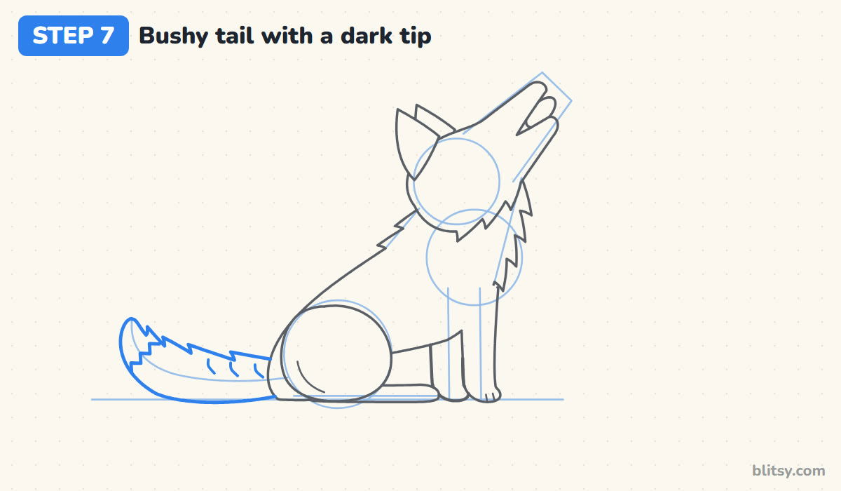 How to draw a wolf step by step step 7 - draw a bushy tail with a dark tip