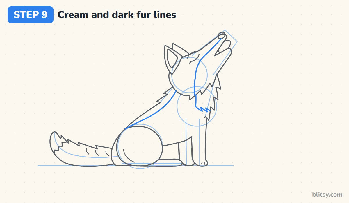 How to draw a wolf step by step step 9 - mark the cream and dark fur
