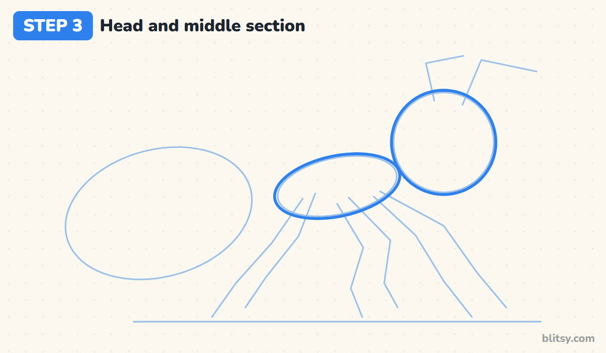 How to draw an ant step by step step 3 - outline the head and middle section