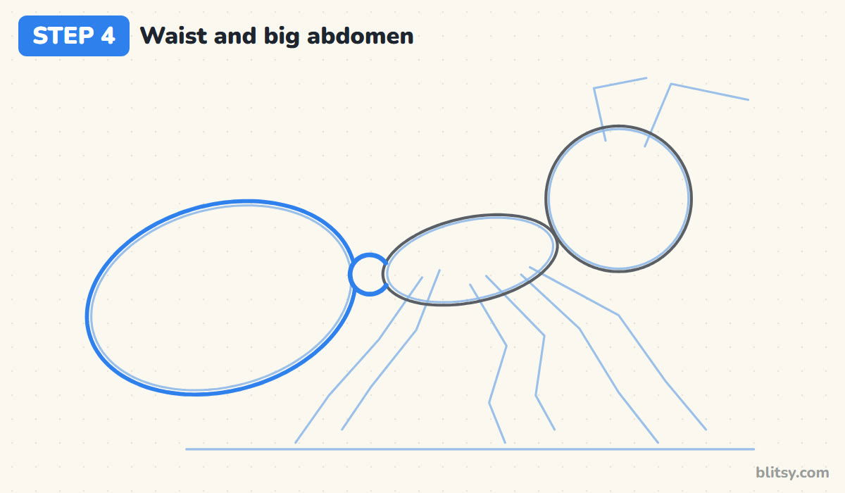 How to draw an ant step by step step 4 - draw the waist and the big abdomen