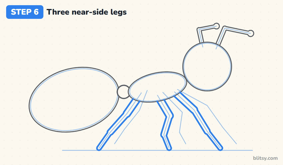 How to draw an ant step by step step 6 - draw the three near-side legs