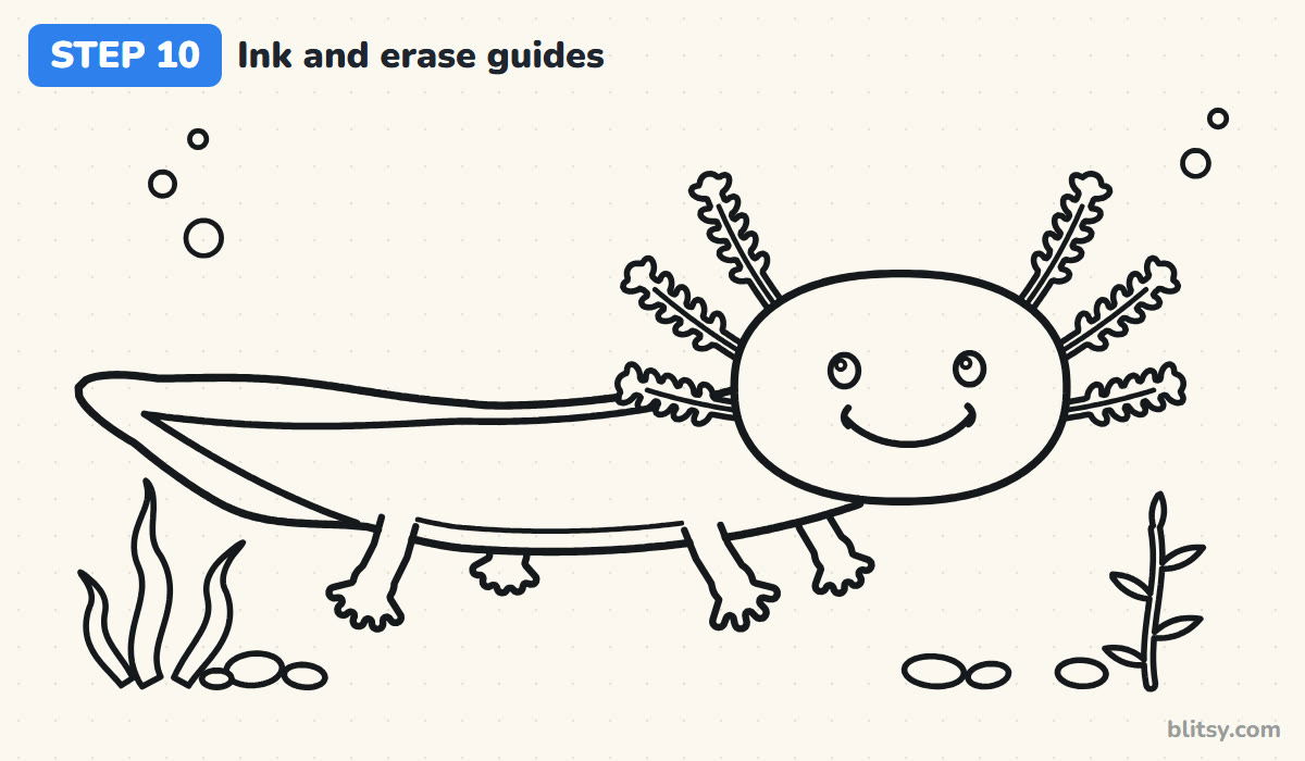 How to draw an axolotl step by step step 10 - ink the lines and erase the guides