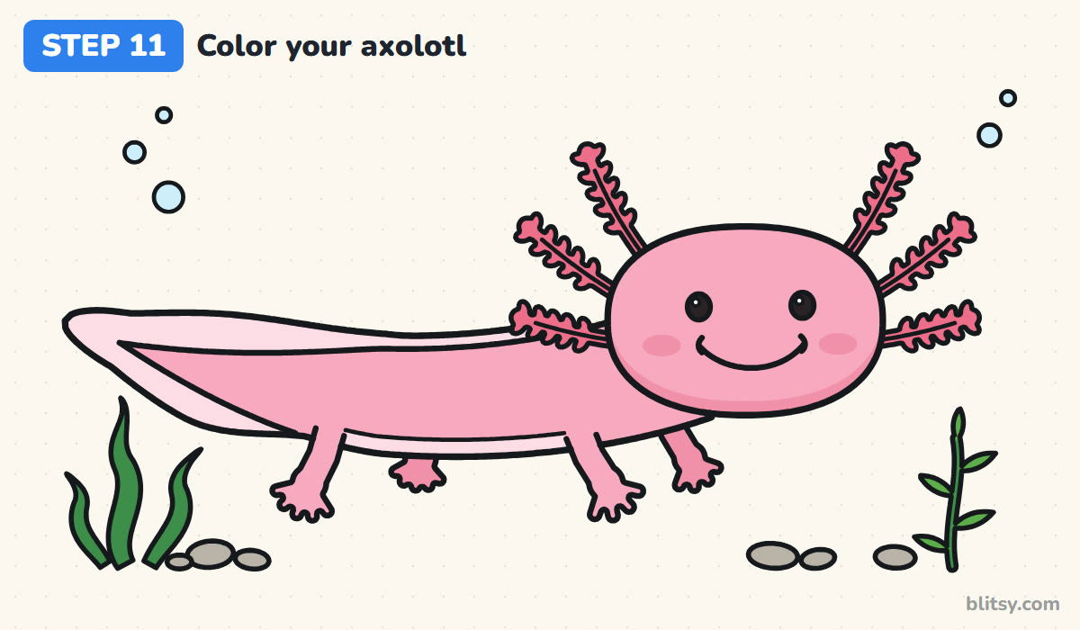 How to draw an axolotl step by step step 11 - color your axolotl