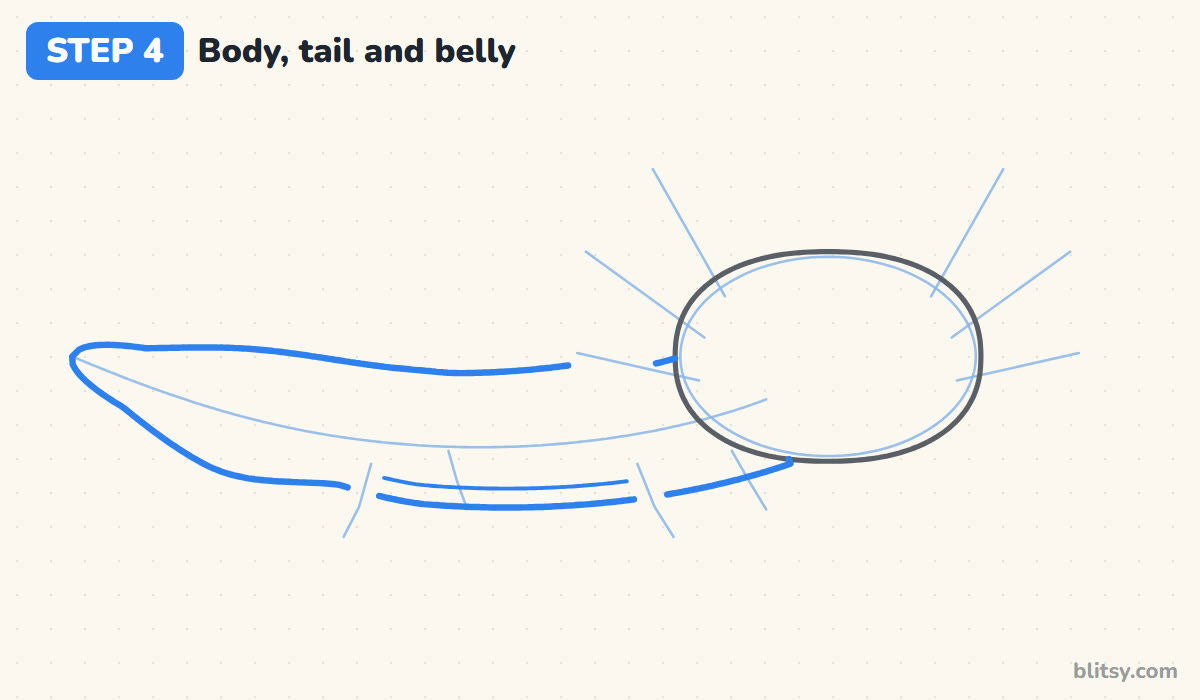How to draw an axolotl step by step step 4 - outline the long body and tail
